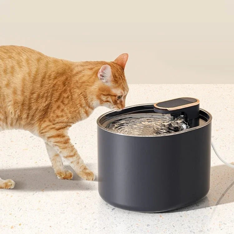 3L Electric Pet Water Dispenser Automatic Cat Water Fountain With Light - Trustpick