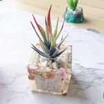 3 Cups Love Ice Tray Silicone Mold Succulent Plaster Mold, Random Color Delivery