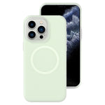 Jelly Liquid Silicone MagSafe Magnetic Phone Case, For iPhone 11, For iPhone 11 Pro