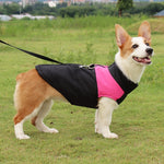 Pet Dog Cotton Vest Ski Suit, Size: M, Chest: 42cm, Back Length: 31cm, Size: M