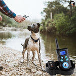 Automatic Anti Barking Collar Pet Training Control System + Electric Shock PU Leather Collar for Dogs, PD520