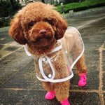 Lovely Pet Dog Shoes Puppy Candy Color Rubber Boots Waterproof Rain Shoes, M, Size:  5.0 x 4.0cm, Size: M 5.0 x 4.0cm, Size: 5.0 x 4.0cm