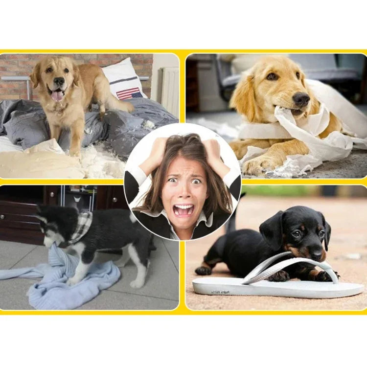 نص بديل للصورة