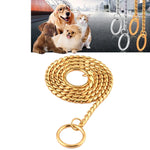 Metal dog collar in gold color, showcasing a smooth, durable design, perfect for stylish pets.