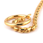 Metal dog collar featuring a sleek gold snake chain design with a secure ring attachment.
