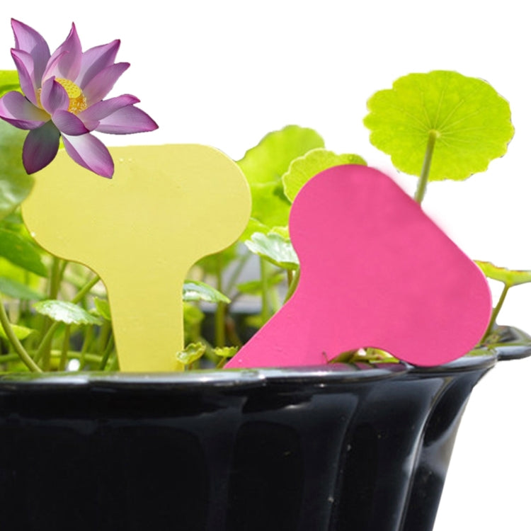 100PCS Floral Label Gardening Label Waterproof small card Insert Label Potted Label,Random Color Delivery, Plant Label 3