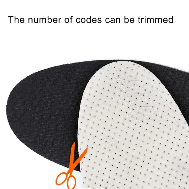 نص بديل للصورة