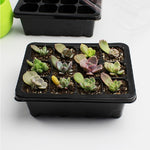 Seedling Tray Sprout Plate 12 Holes Nursery Pots Tray Lids Box For Gardening Bonsai Mini Greenhouse Nursery Plate, 12 Holes, 5pcs 12 Holes