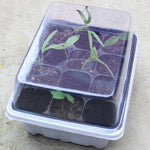 Seedling Tray Sprout Plate 12 Holes Nursery Pots Tray Lids Box For Gardening Bonsai Mini Greenhouse Nursery Plate, 12 Holes, 5pcs 12 Holes