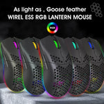 HXSJ T66 7 Keys Colorful Lighting Programmable Gaming Wireless Mouse, T66(White)