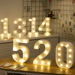 Dry Battery Powered Warm White Standing Hanging Holiday Light, LED6214A, LED6214B, LED6214C, LED6214D, LED6214E, LED6214F, LED6214G, LED6214H, LED6214J, LED6214K