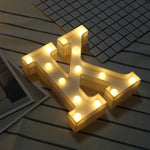 Dry Battery Powered Warm White Standing Hanging LED Holiday Light, N, A, O, B, C, P, D, Q, E, R, F, G, T, U, I, V, J, W, X, K, L, M, Z