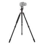 Triopo MT-2504C Adjustable Portable Aluminum Tripod with NB-1S Ball Head for Canon Nikon Sony DSLR Camera, MT-2504C (Black), MT-2504C (Gold)