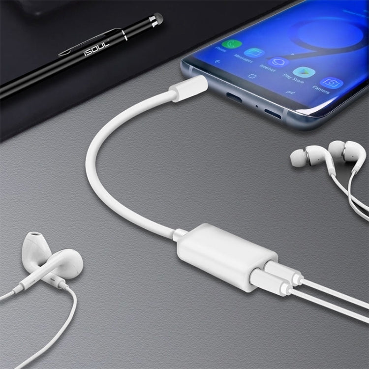 Aux Audio Cable 3.5mm to 2 x Female Splitter Adapter, Compatible with Phones, Tablets, Headphones, MP3 Player, Car/Home Stereo & More