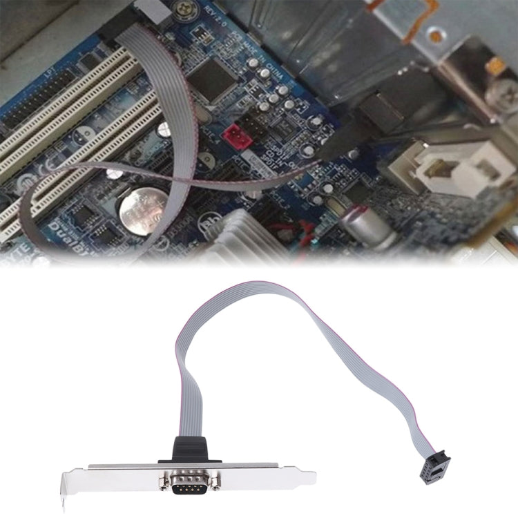 Image alt