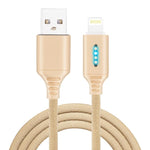 Intelligent automatic Power off charging Line for Zinc Alloy for luminous data Line of Apple running Lamp