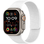 Litchi Texture Magnetic Silicone Watch Band, For Apple Watch 46mm / 49mm / 45mm / 44mm, For Apple Watch 42mm / 41mm / 40mm / 38mm