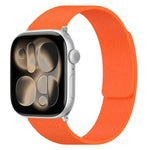 Litchi Texture Magnetic Silicone Watch Band, For Apple Watch 46mm / 49mm / 45mm / 44mm, For Apple Watch 42mm / 41mm / 40mm / 38mm