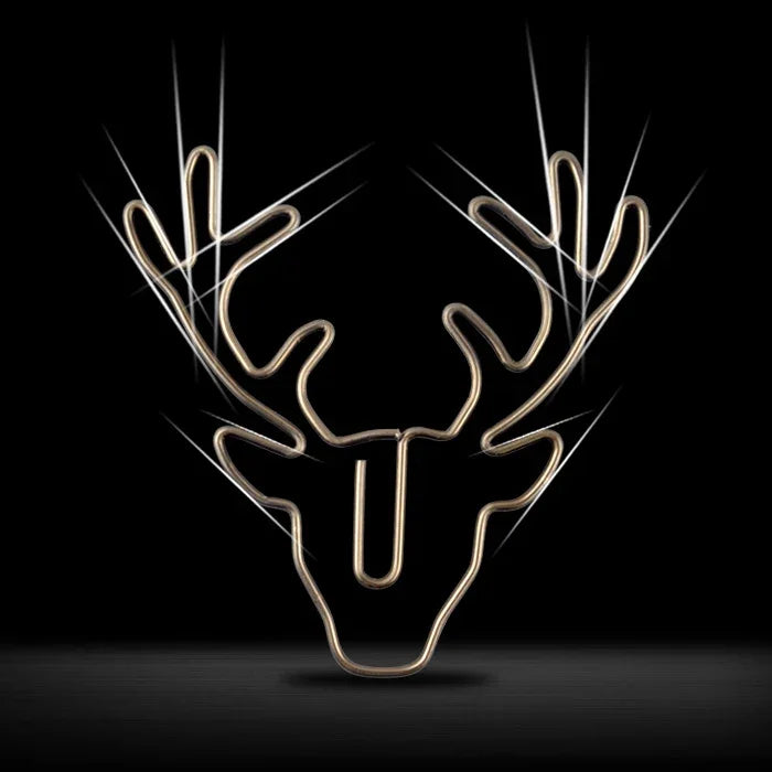 نص بديل للصورة