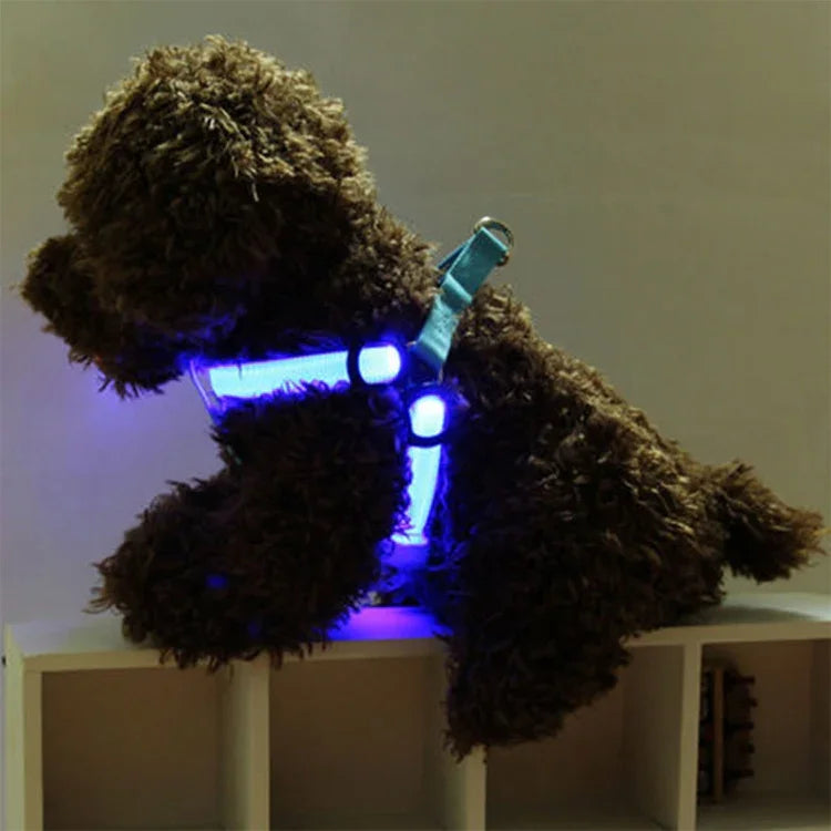 Double Sided LED Light Pet Harness Nylon Cat Dog Chest Strap Leash, S, M
