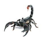 Creative Personality Scratch Cover  Car Body Sticker, Black Spider, Spider Pair, Scorpion, Lizard
