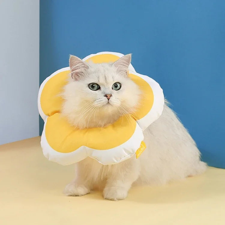 Cute Flower Shaped Pet Anti-licking Collar, L, S, M