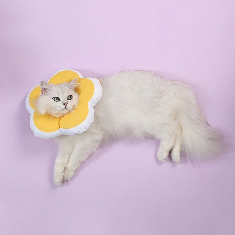 Cute Flower Shaped Pet Anti-licking Collar, L, S, M