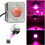 COB Plant Growth Light LED Vegetable Planting Succulent Light, Full Spectrum, Sunligh
