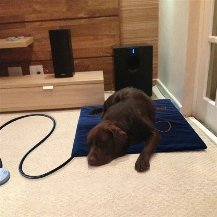 Pet Heating Pad Waterproof and Anti-Scratch Electric Blanket, Size: 60x45cm, JP Plug