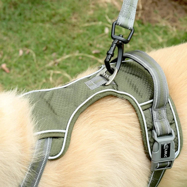 Dog Outdoor Anti-Scourge Traction Rope Nylon Reflective Elastic Stretch Dog Walking Rope, Elastic Stretch Yellow, Elastic Stretch Green