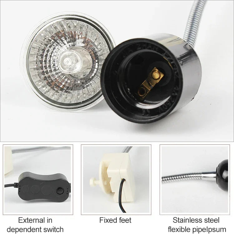 نص بديل للصورة