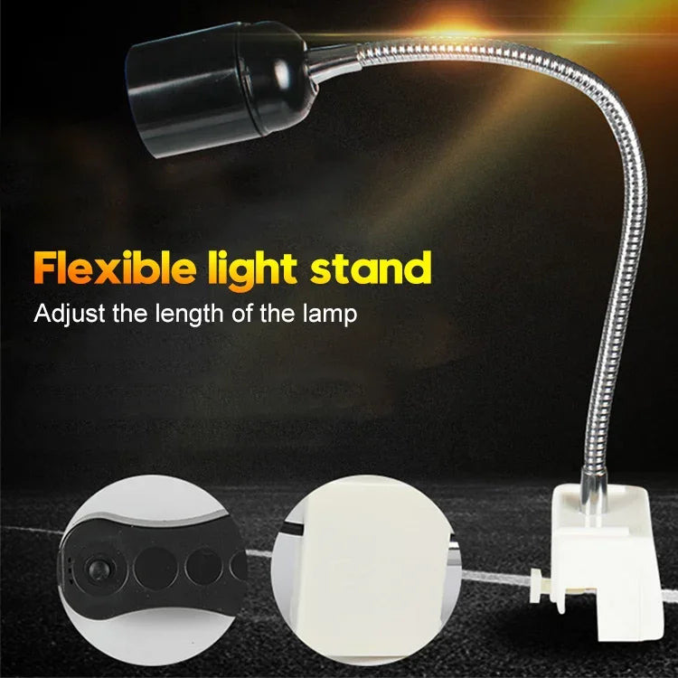 نص بديل للصورة