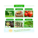 Ultra-Thin LED Plant Light, Full Spectrum COB Growth Light, Vegetable, Fruit & Flower Greenhouse Fill Light Without Plug, 50W, 100W, 150W