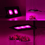 Ultra-Thin LED Plant Light, Full Spectrum COB Growth Light, Vegetable, Fruit & Flower Greenhouse Fill Light Without Plug, 50W, 100W, 150W