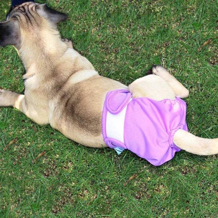 Pet Physiological Pants Pet Waterproof Panties, XS, S, M, L, XL