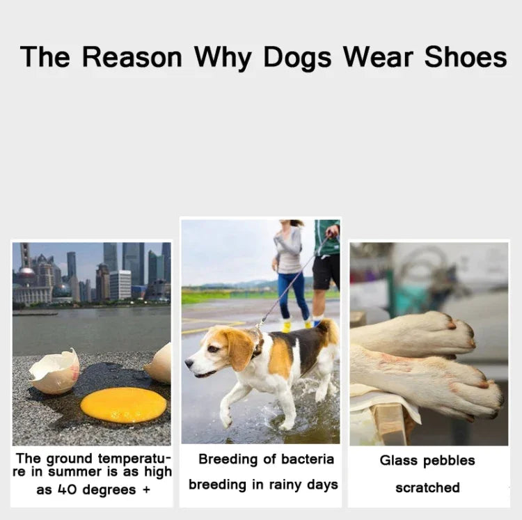 JML Pet Sports Shoes Non-Slip Wear-Resistant Comfortable Breathable Dog Shoes, 1