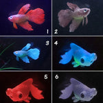 Night Light Simulation Fish Tank Decorations Environmentally Friendly Silicone Colorful Fish, 1 Red Betta, 2 Brown Betta, 3 Blue Betta, 4 Blue Goldfish, 5 Red Goldfish, 6 Brown Goldfish