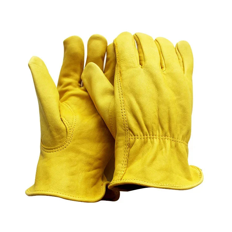 نص بديل للصورة