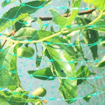 Anti Bird Protection Net Mesh Garden Plant Netting Protect Plants and Fruit, 2Mx10M, 4Mx5M, 4Mx10M, 4Mx12M, 5Mx10M, 5Mx20M, 4Mx15M
