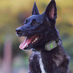 Smart Waterproof Electric Shock Dog Trainer Rechargeable Remote Bark Stopper
