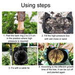 2pcs Plants Growth High Pressure Box Spherical Root Controller Grafting Root Cases, S Black 50mm, M Black 80mm, L Black 120mm, S Green 50mm, M Green 80mm, L Green 120mm, S Transparent 50mm, M Transparent 80mm, L Transparent 120mm