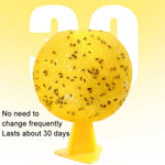 8cm Indoor Fruit Fly Ball With Core Insect Attractant Sticky Ball, With Core
