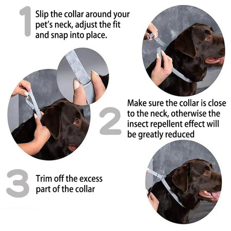 Flea and Tick Collar for Dogs Cats With Aluminum Case, 72cm Gray, 72cm Orange, 72cm Blue, 38cm Orange, 38cm Pink, 38cm Blue