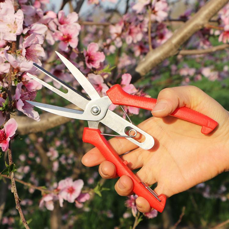 Agricultural Fruit And Flower Thinning Scissors Home Gardening Pruning Tools, 6608-1