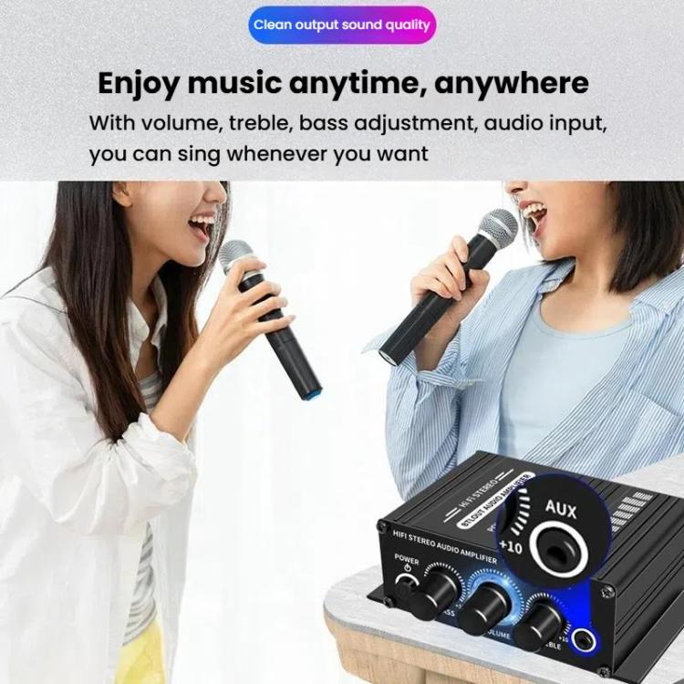 Car Home Stereo Mini Amplifier, AK270, AK270 With DC Line