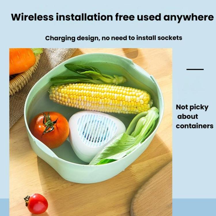 Portable Sterilization Pesticide Residue Removal Fruit Vegetable Cleaning Machine, English
