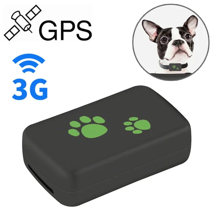 4G GPS pet tracker collar device with GPS and wireless connection for tracking pets.