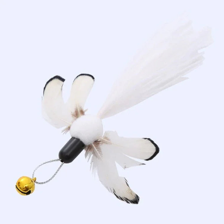Image alt