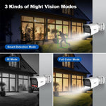 SriHome NVS005 - POE065 5MP HD 4 - CH POE Camera Network Video Recorder Kit - Trustpick